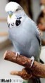 /album/galeria-de-fotos/ca8sali3cazkahwzcar5fgiacajqh178cay99waacaofs0sscaqqudd5caikviawca1t81q7ca5k8khqcagqnr60capc21jlcac76b3fcaymugzfca054ikjcasjib82ca6pmxx7cas44c88-jpg/
